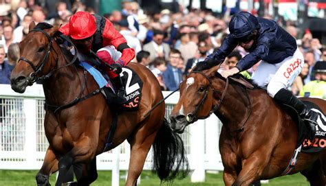 dave nevison|dave nevison tips for friday.